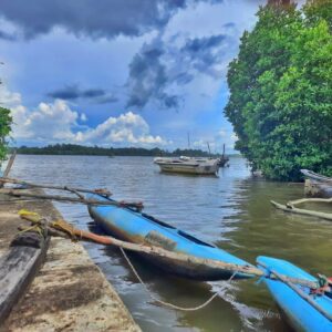 Bentota Day Tour from Colombo Port