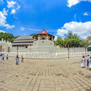 Kandy Day Tour from Colombo Port