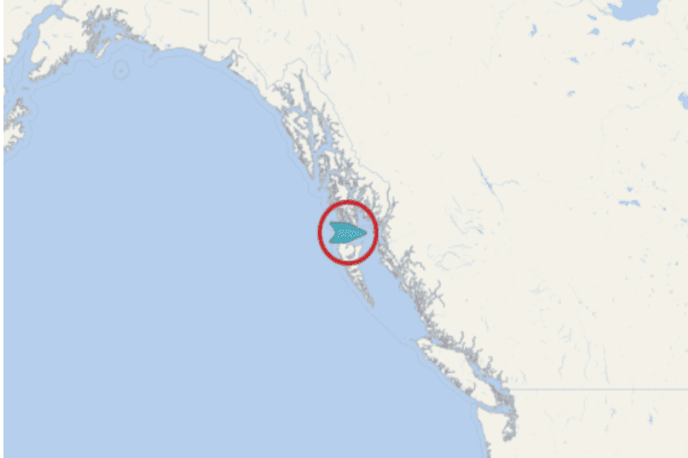 Riviera Cruise position