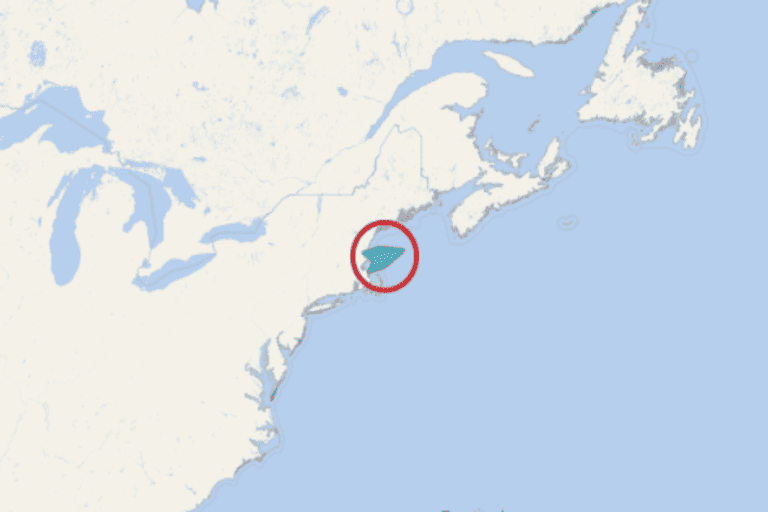 Silver Dawn Cruise Position (1)