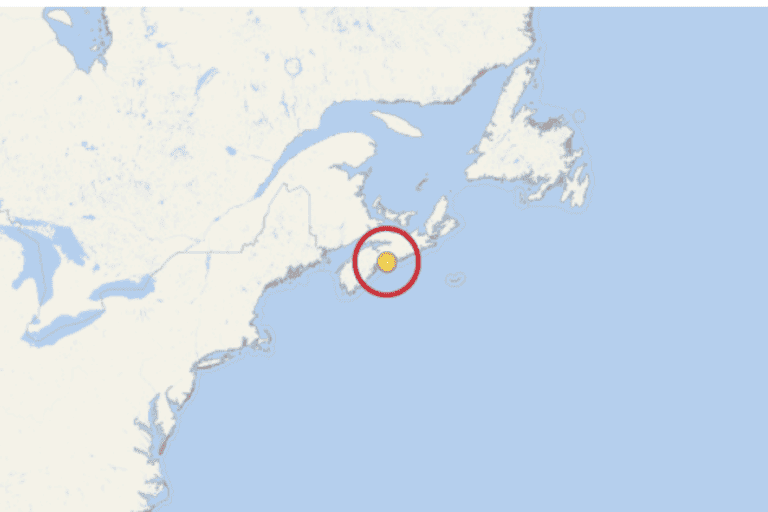 Zuiderdam Current Position